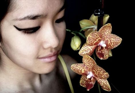 orchidea_by_hyenn.jpg